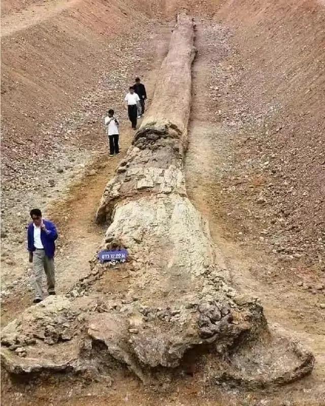 新吉利彩票官网：✅吉利彩票开奖平台、定量作答落实解释